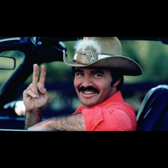 Meet your Posher, Quinn - Picture 1 of 1